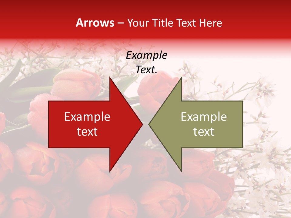 Plant Bud Isolated PowerPoint Template