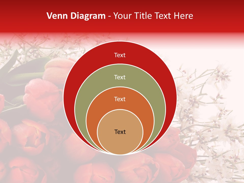 Plant Bud Isolated PowerPoint Template