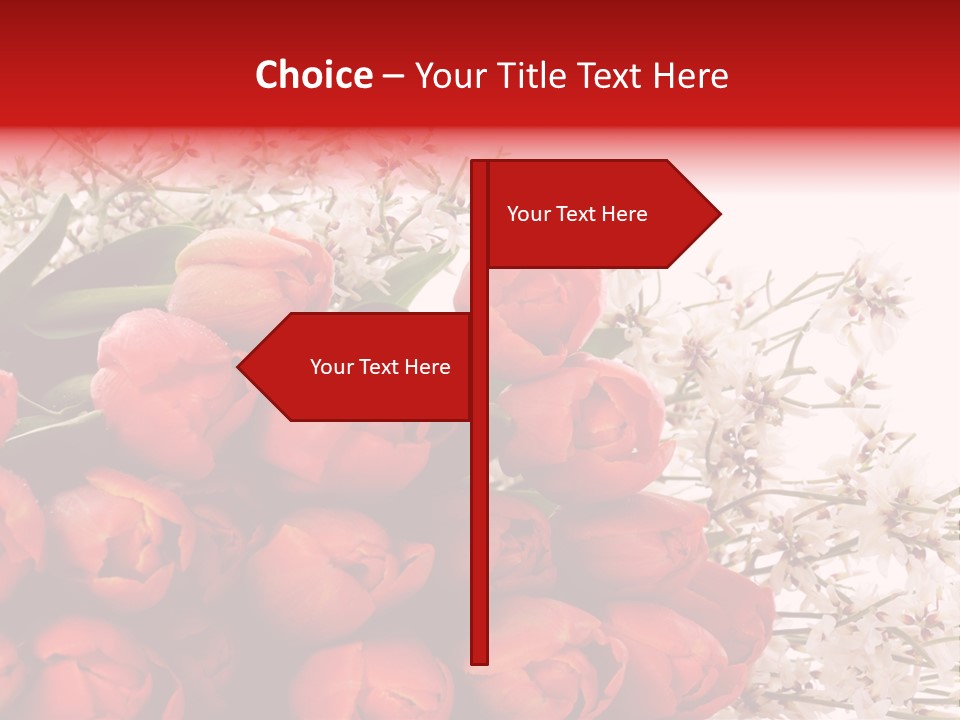 Plant Bud Isolated PowerPoint Template