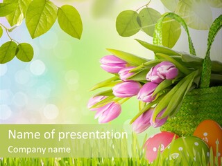 Sunlight Rahmen Summer PowerPoint Template