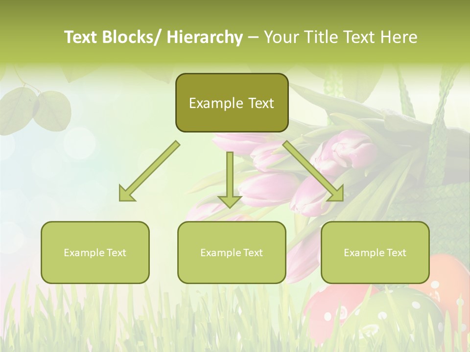 Sunlight Rahmen Summer PowerPoint Template