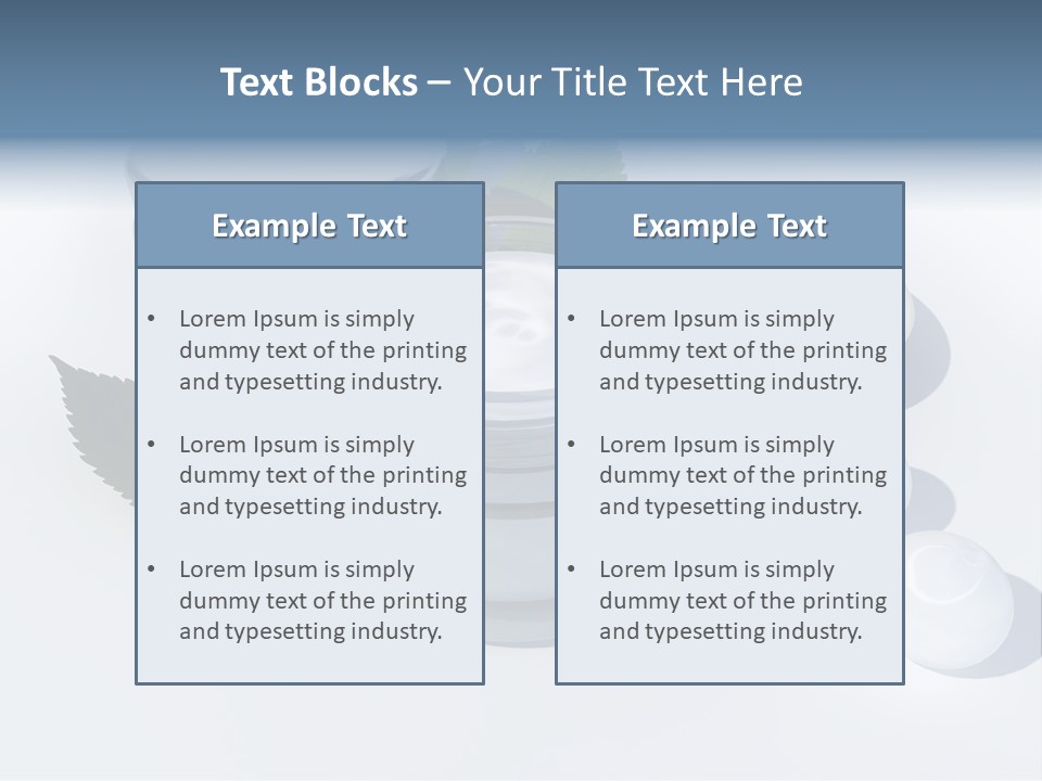 Dorloter Magasin De Coiffure Beauty PowerPoint Template