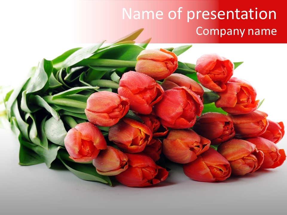 Blossom Bunch Beautiful PowerPoint Template