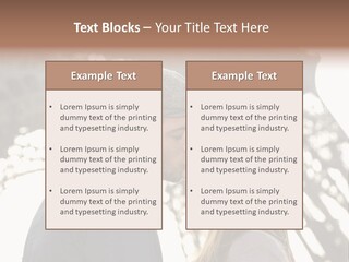 Ballade Casquette Embrasser PowerPoint Template