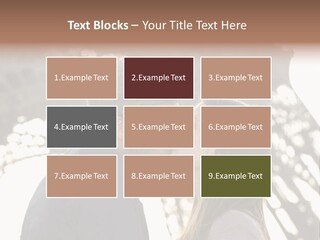 Ballade Casquette Embrasser PowerPoint Template