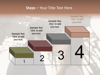 Ballade Casquette Embrasser PowerPoint Template