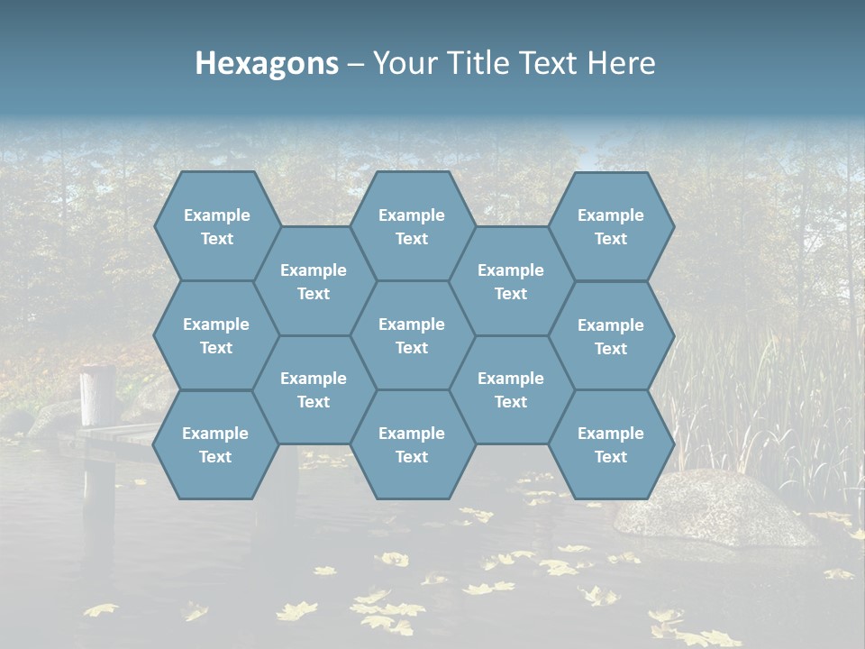 Las Drewniany Woda PowerPoint Template