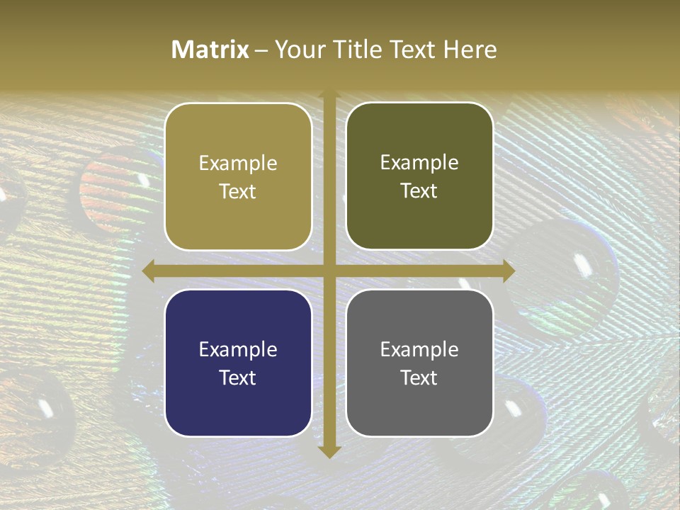 Macro Shiny Bird PowerPoint Template