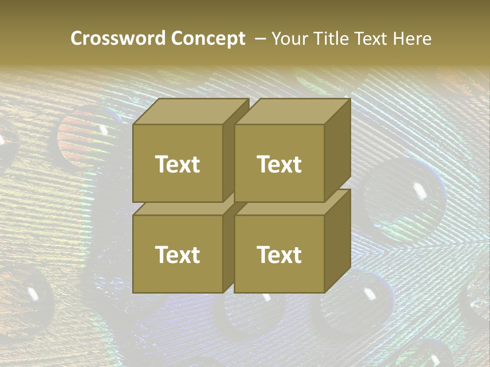 Macro Shiny Bird PowerPoint Template