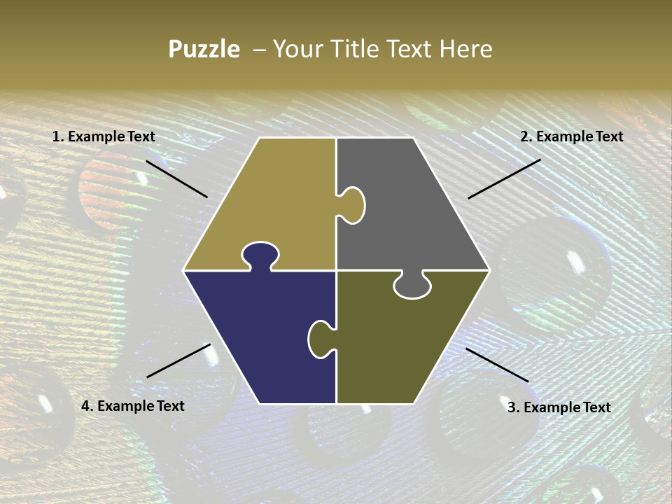 Macro Shiny Bird PowerPoint Template