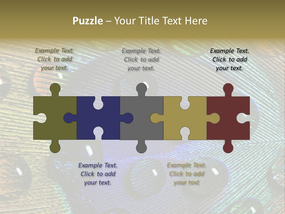 Macro Shiny Bird PowerPoint Template