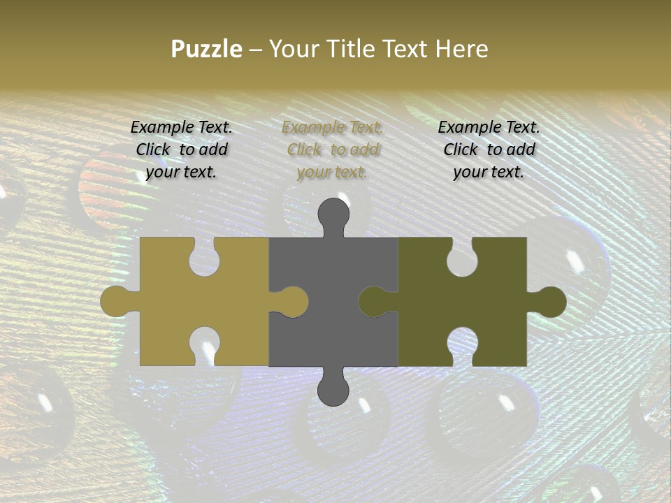 Macro Shiny Bird PowerPoint Template