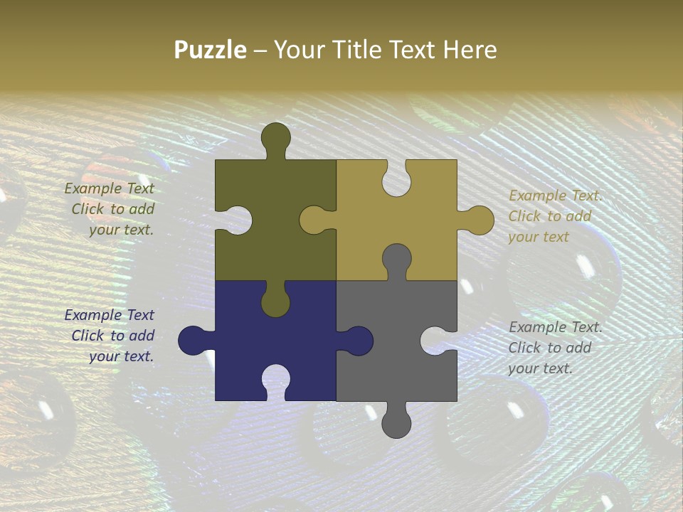 Macro Shiny Bird PowerPoint Template