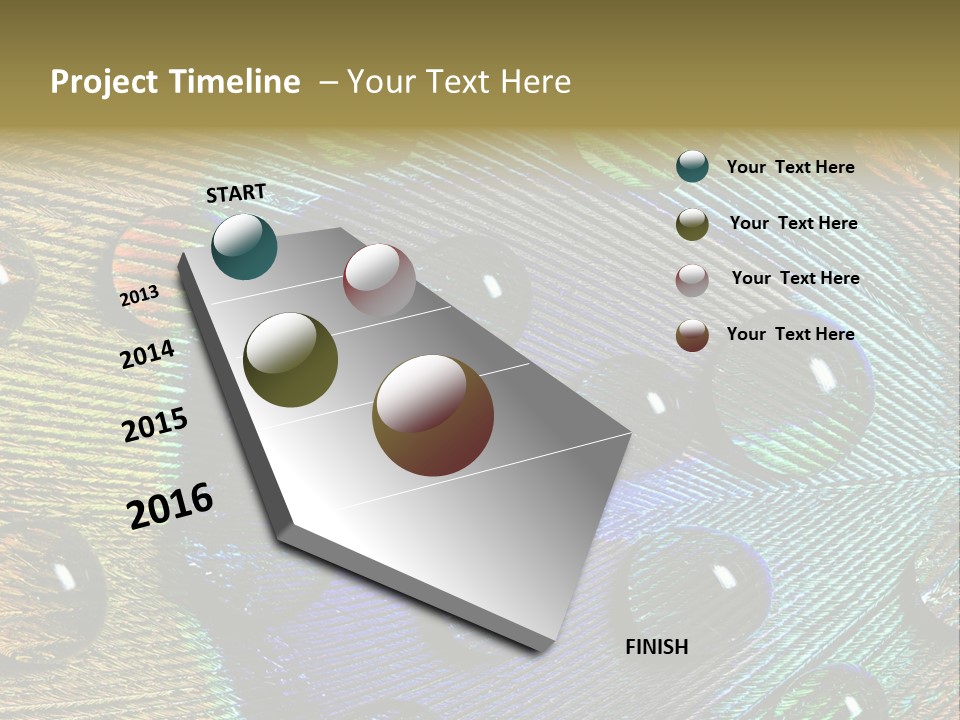 Macro Shiny Bird PowerPoint Template