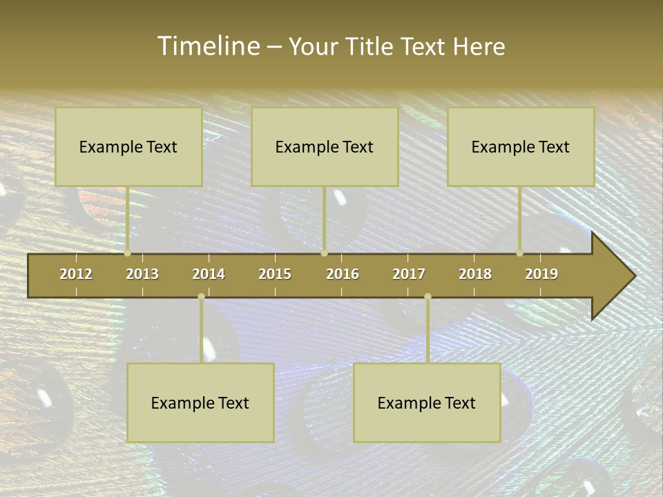 Macro Shiny Bird PowerPoint Template