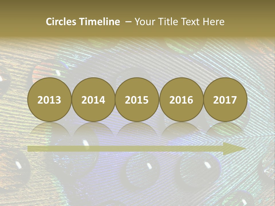 Macro Shiny Bird PowerPoint Template