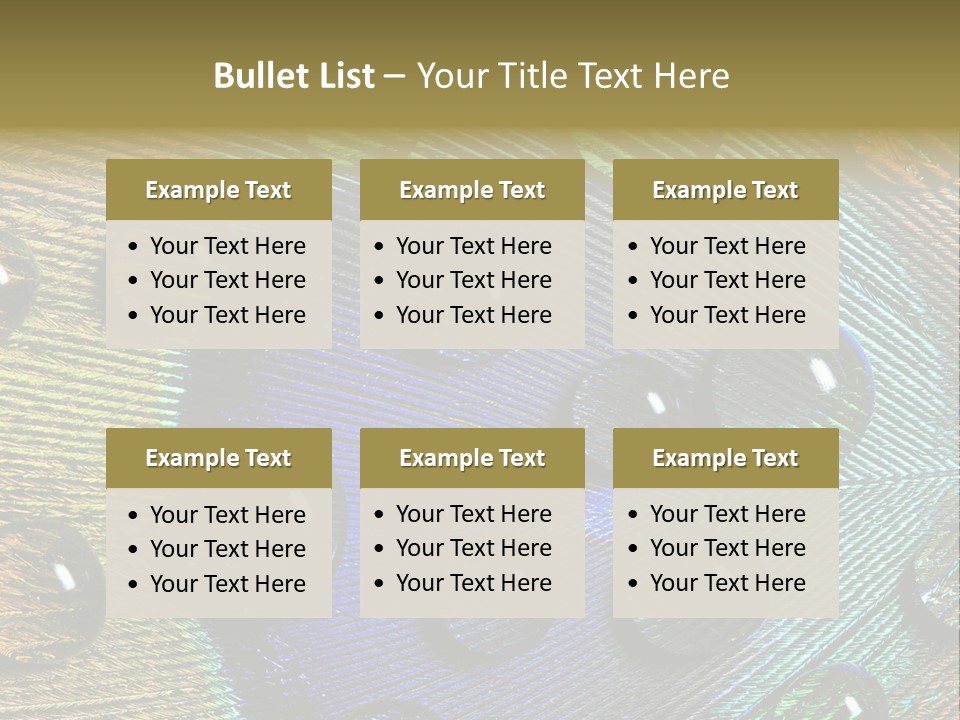 Macro Shiny Bird PowerPoint Template