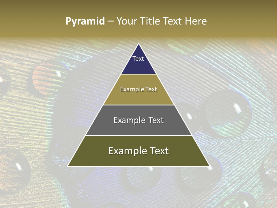 Macro Shiny Bird PowerPoint Template