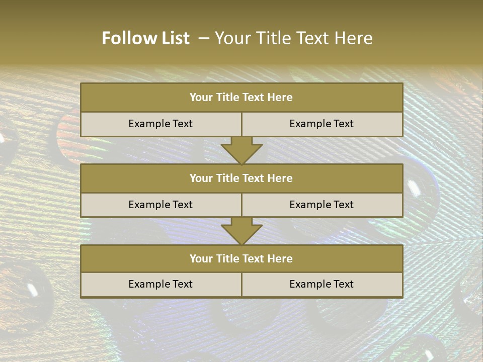 Macro Shiny Bird PowerPoint Template