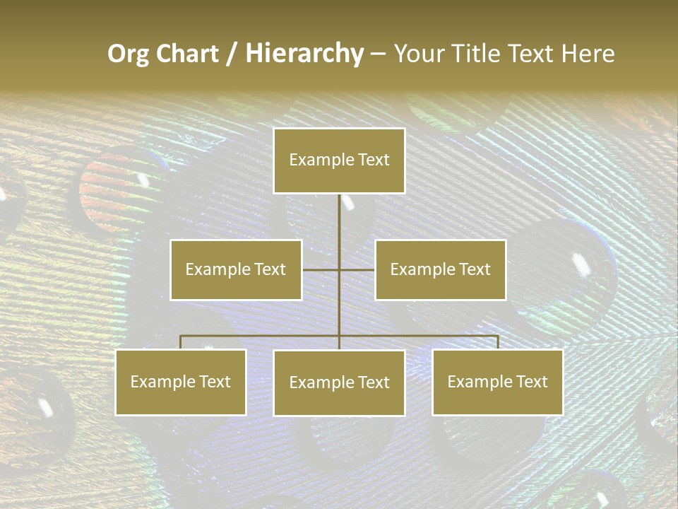 Macro Shiny Bird PowerPoint Template