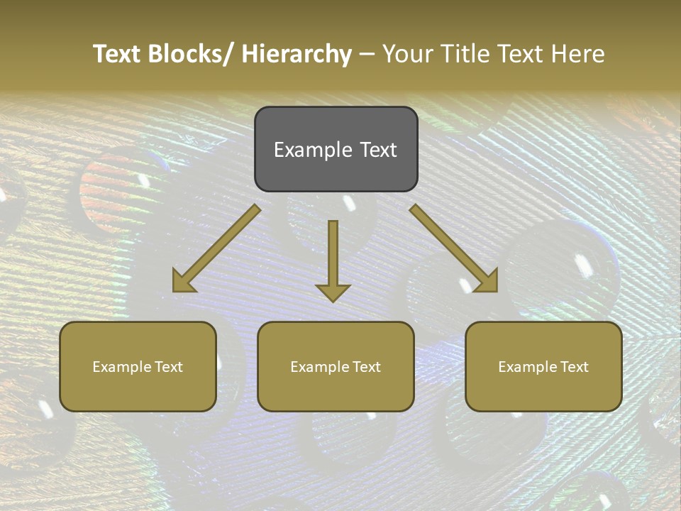Macro Shiny Bird PowerPoint Template