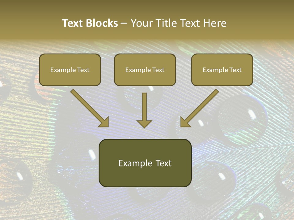 Macro Shiny Bird PowerPoint Template