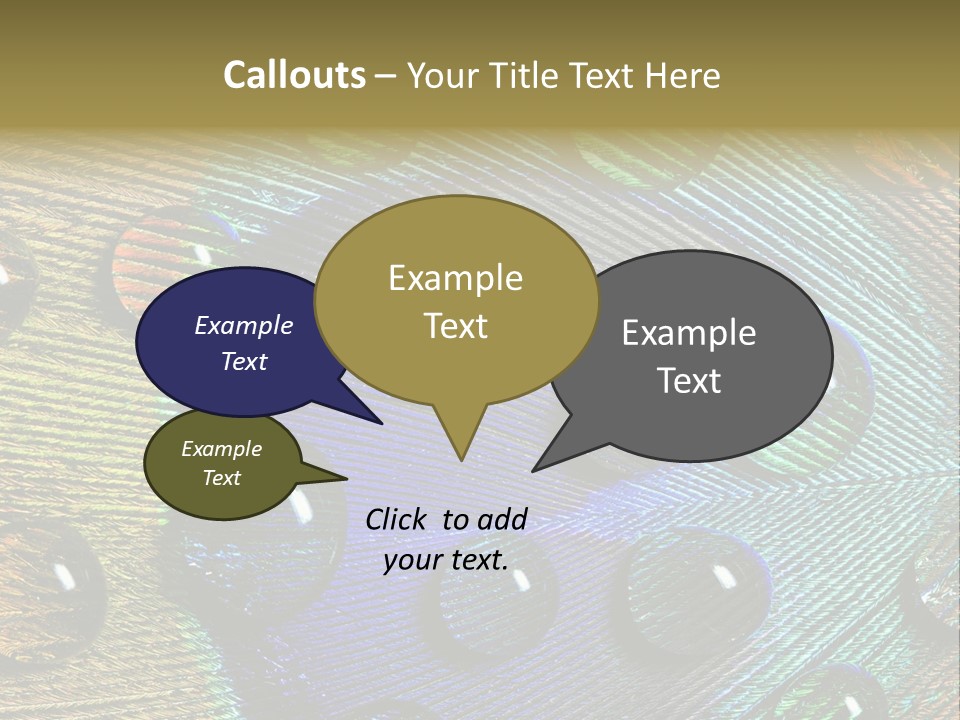 Macro Shiny Bird PowerPoint Template