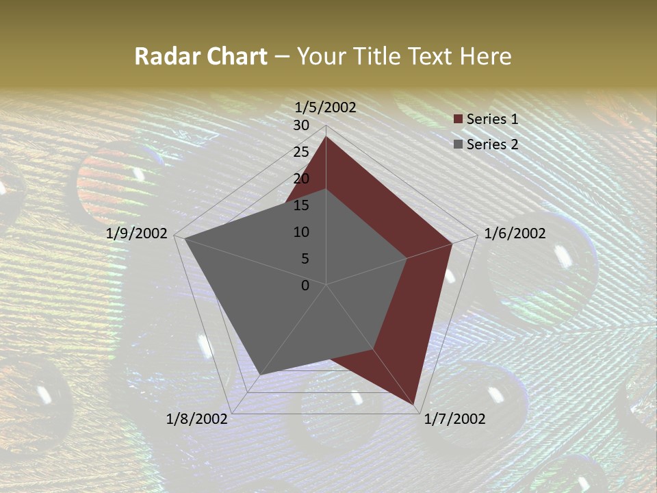 Macro Shiny Bird PowerPoint Template