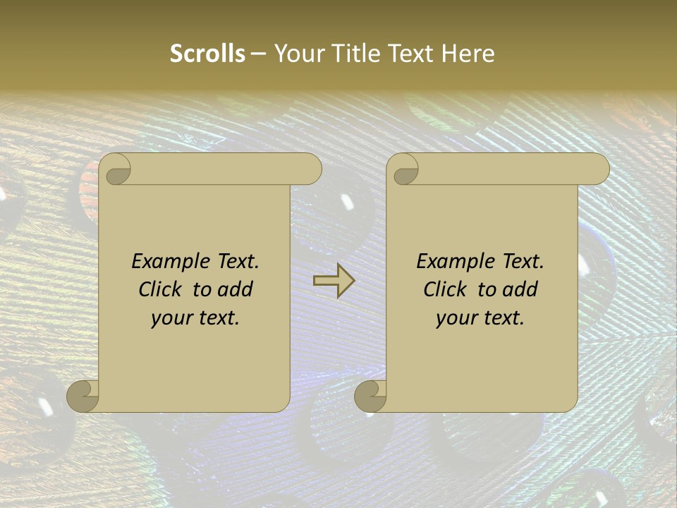 Macro Shiny Bird PowerPoint Template