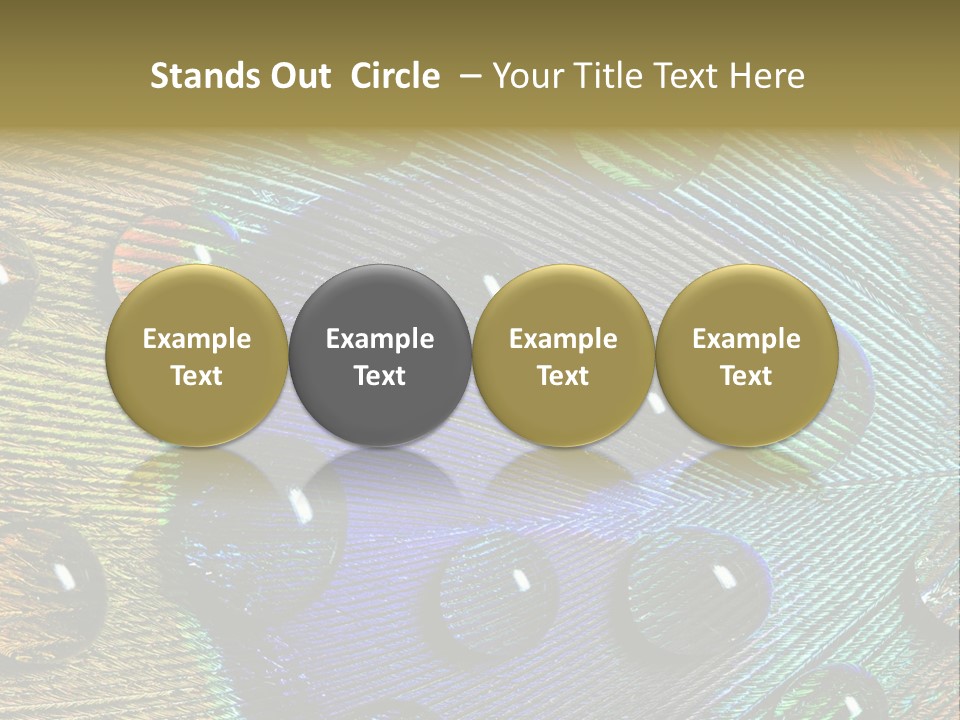 Macro Shiny Bird PowerPoint Template