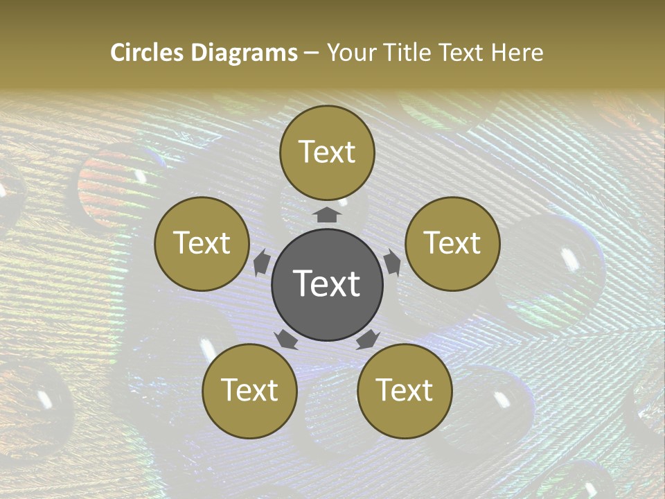 Macro Shiny Bird PowerPoint Template