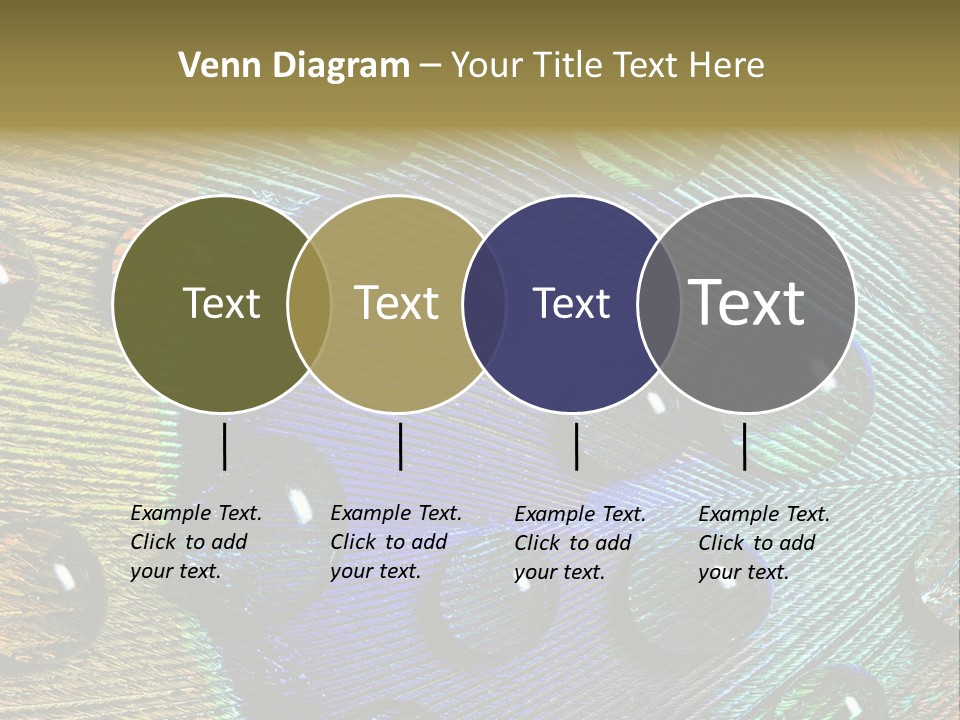 Macro Shiny Bird PowerPoint Template
