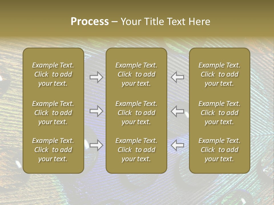 Macro Shiny Bird PowerPoint Template