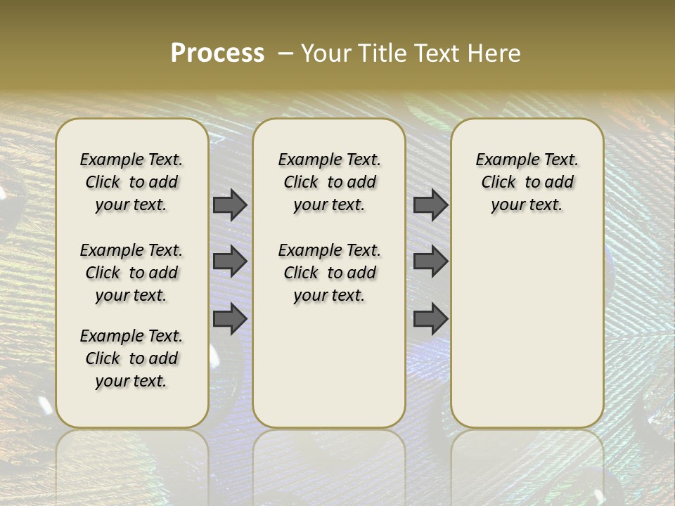Macro Shiny Bird PowerPoint Template