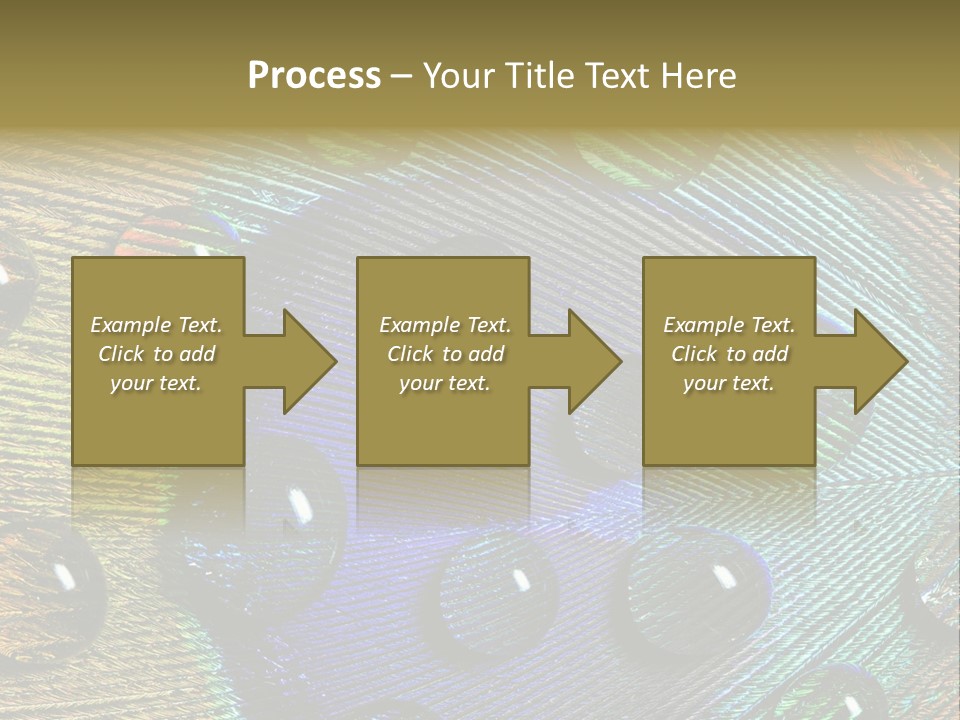 Macro Shiny Bird PowerPoint Template