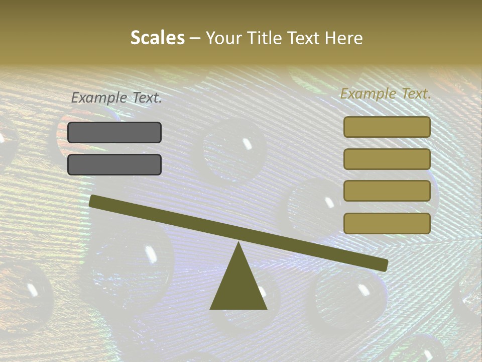 Macro Shiny Bird PowerPoint Template