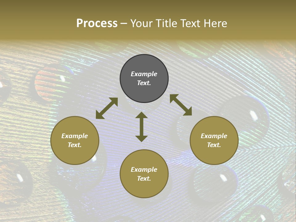 Macro Shiny Bird PowerPoint Template