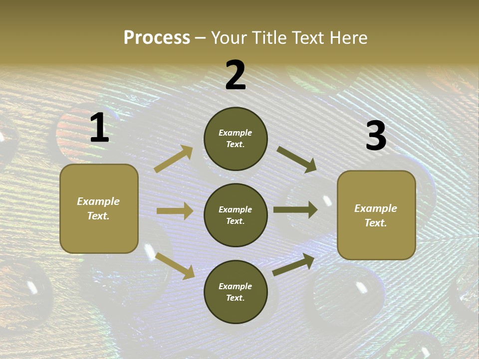 Macro Shiny Bird PowerPoint Template