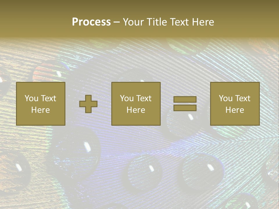 Macro Shiny Bird PowerPoint Template