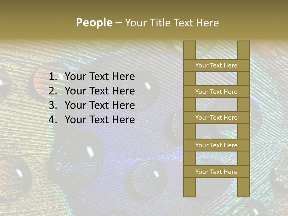 Macro Shiny Bird PowerPoint Template