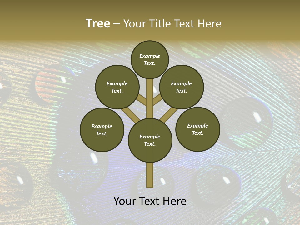 Macro Shiny Bird PowerPoint Template