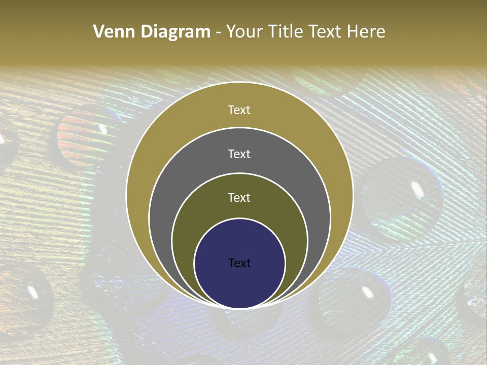 Macro Shiny Bird PowerPoint Template