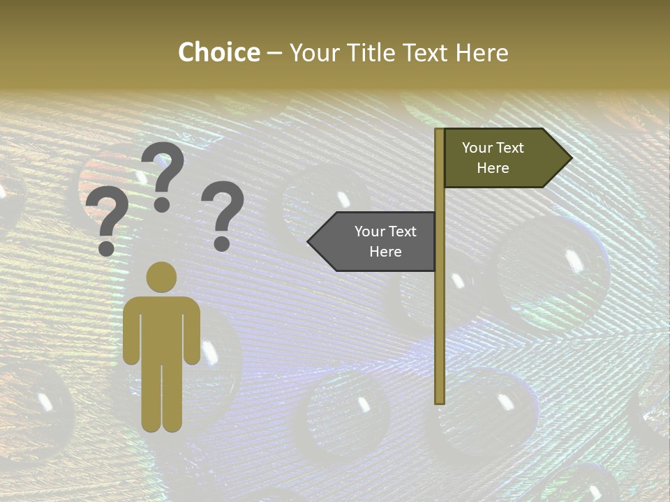 Macro Shiny Bird PowerPoint Template