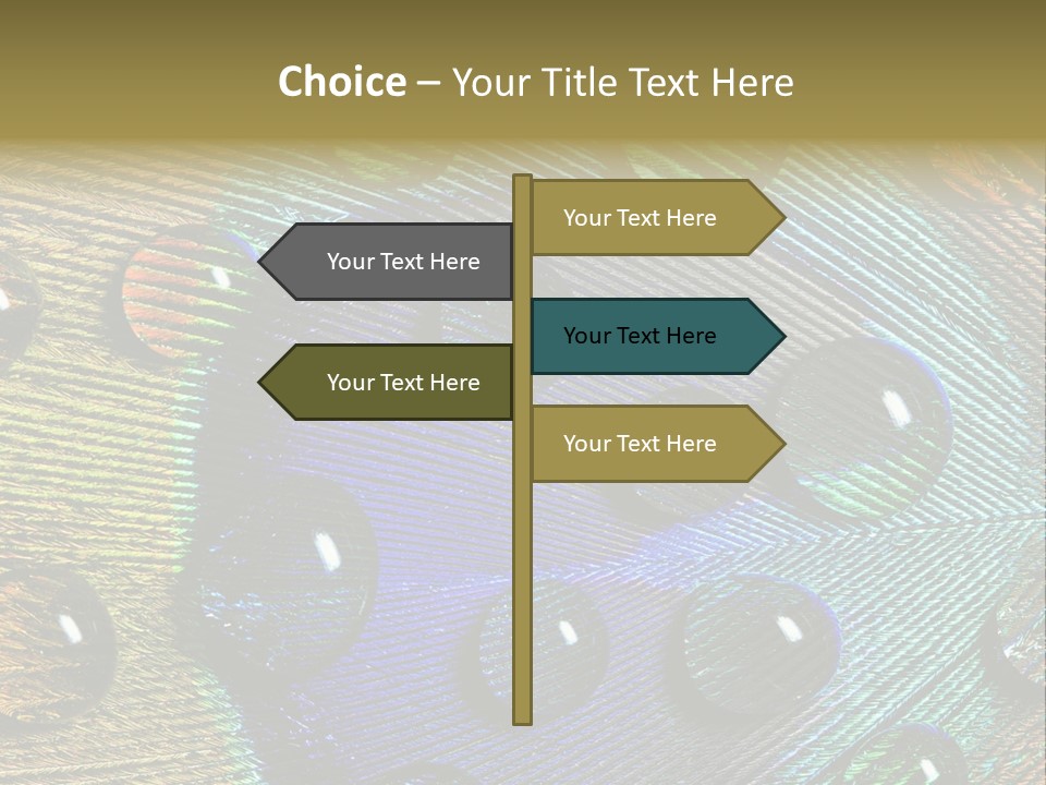 Macro Shiny Bird PowerPoint Template