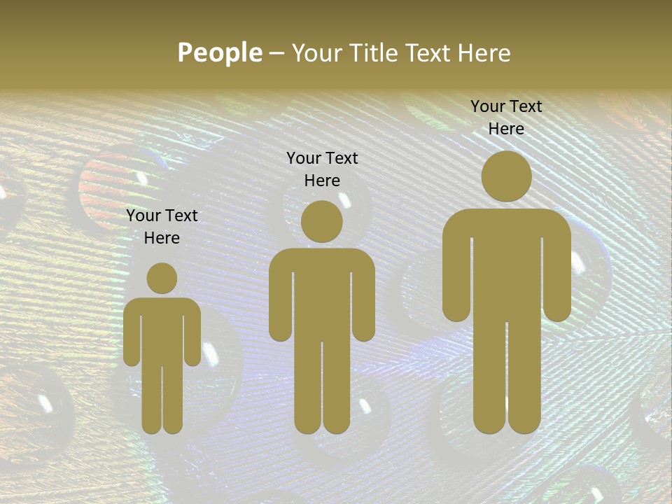 Macro Shiny Bird PowerPoint Template