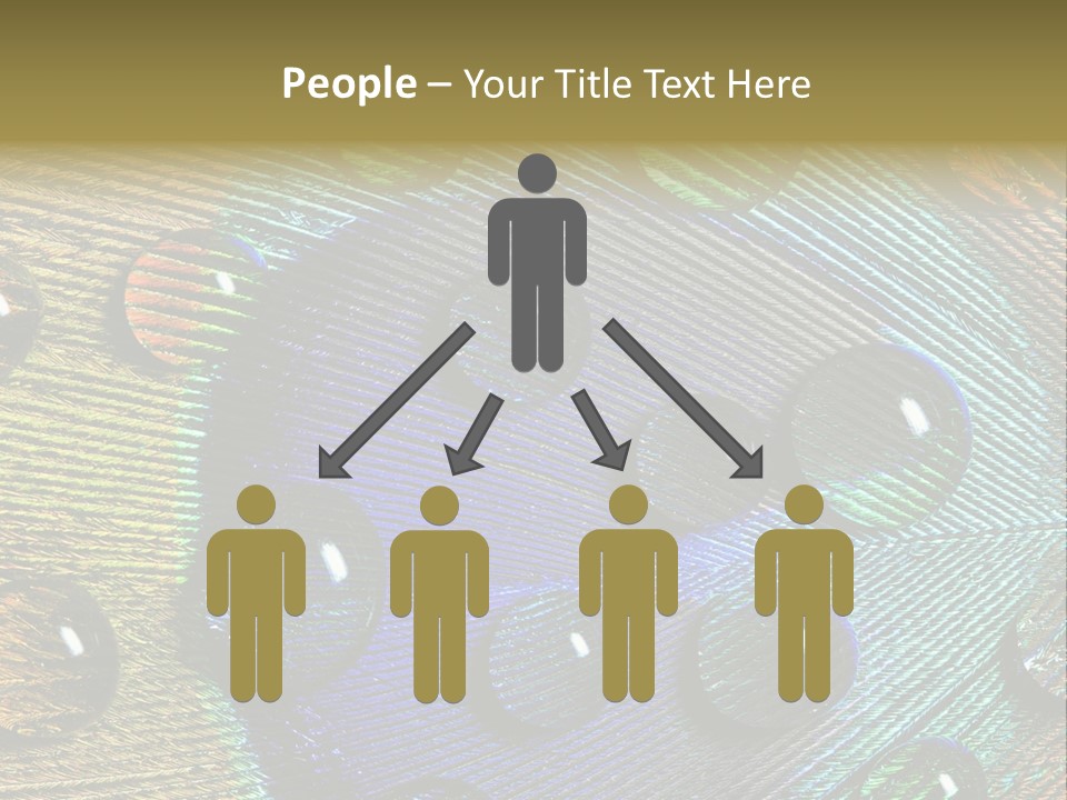 Macro Shiny Bird PowerPoint Template