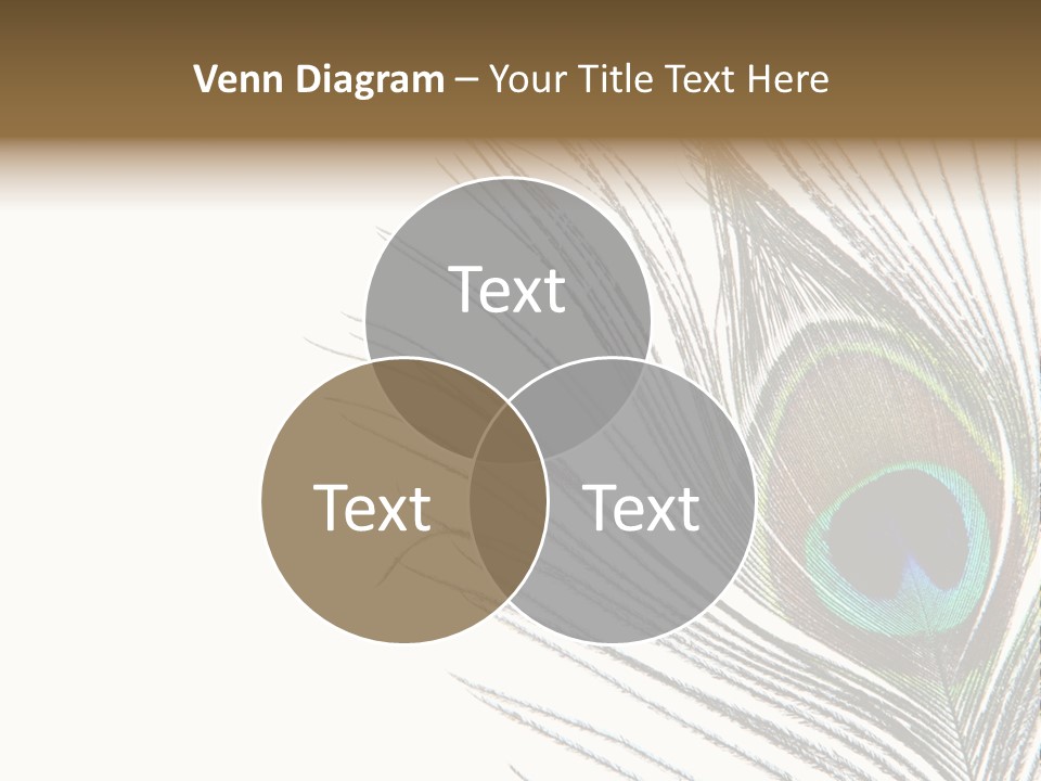 Assortment Warm Grain PowerPoint Template