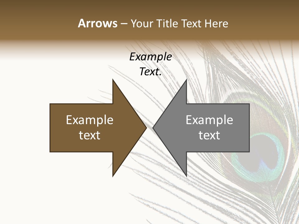 Assortment Warm Grain PowerPoint Template