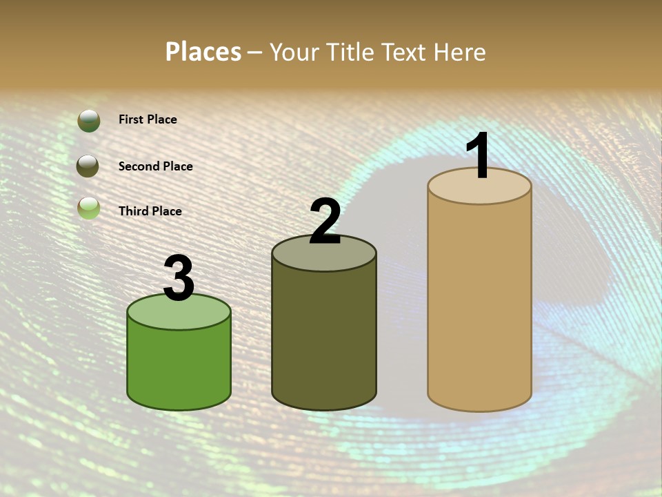 Stylish Extravagant Elegance PowerPoint Template