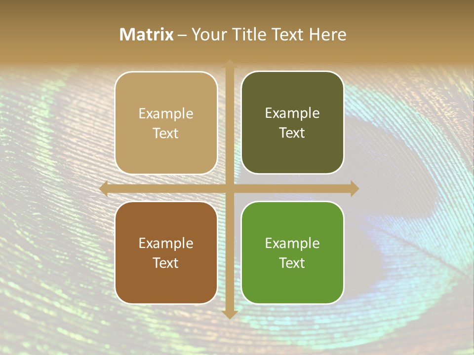 Stylish Extravagant Elegance PowerPoint Template